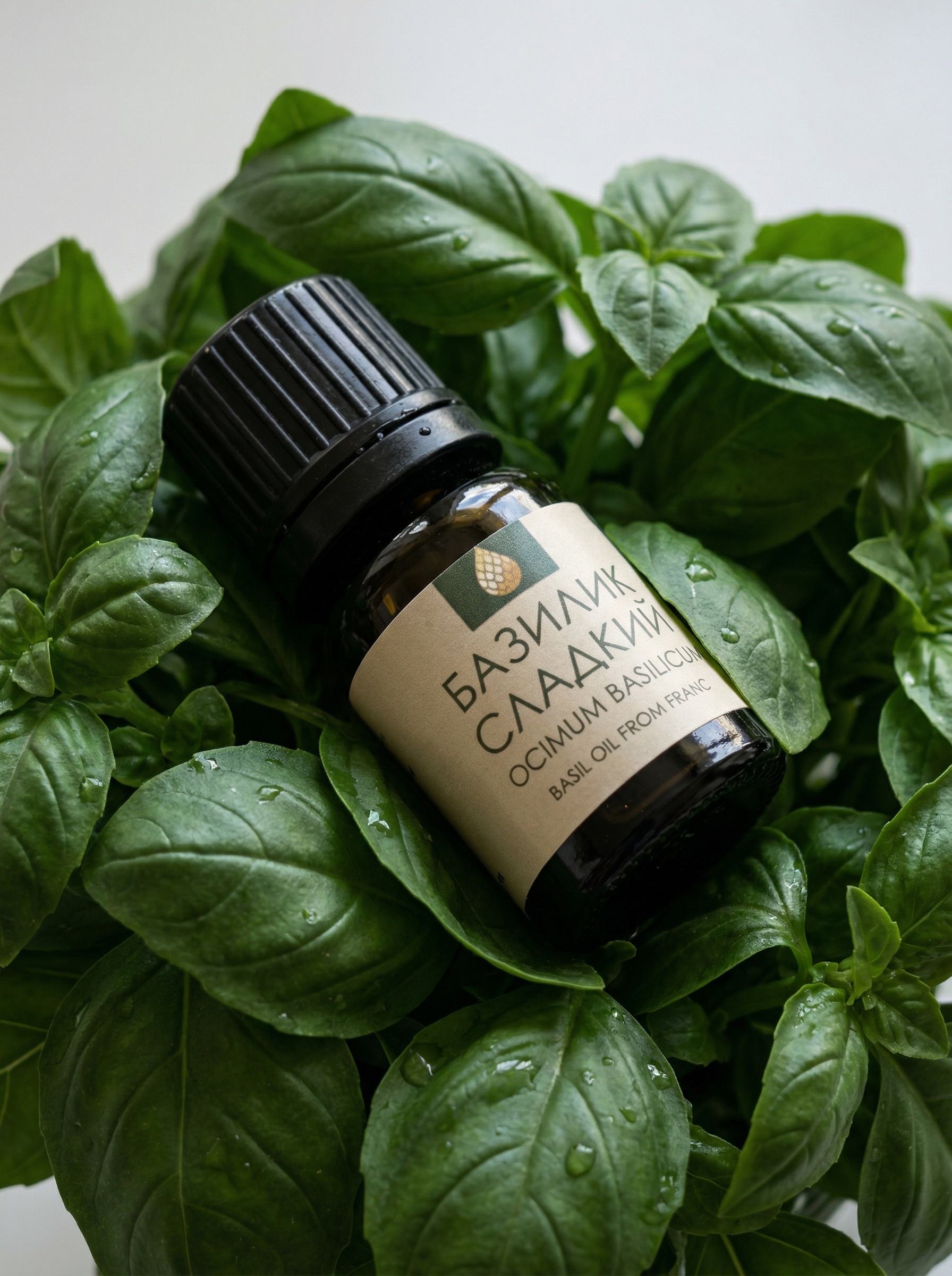 Elixan Aromatika Базилик сладкий  2мл